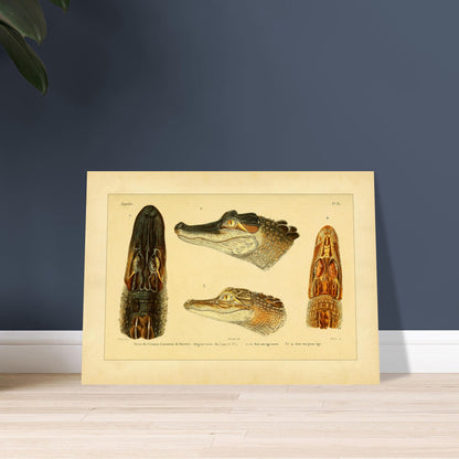 13e2ae53-33e4-4692-9729-85cea3ff87a0