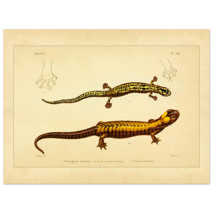 153e1b70-6fab-4583-81b0-a0337deccc36