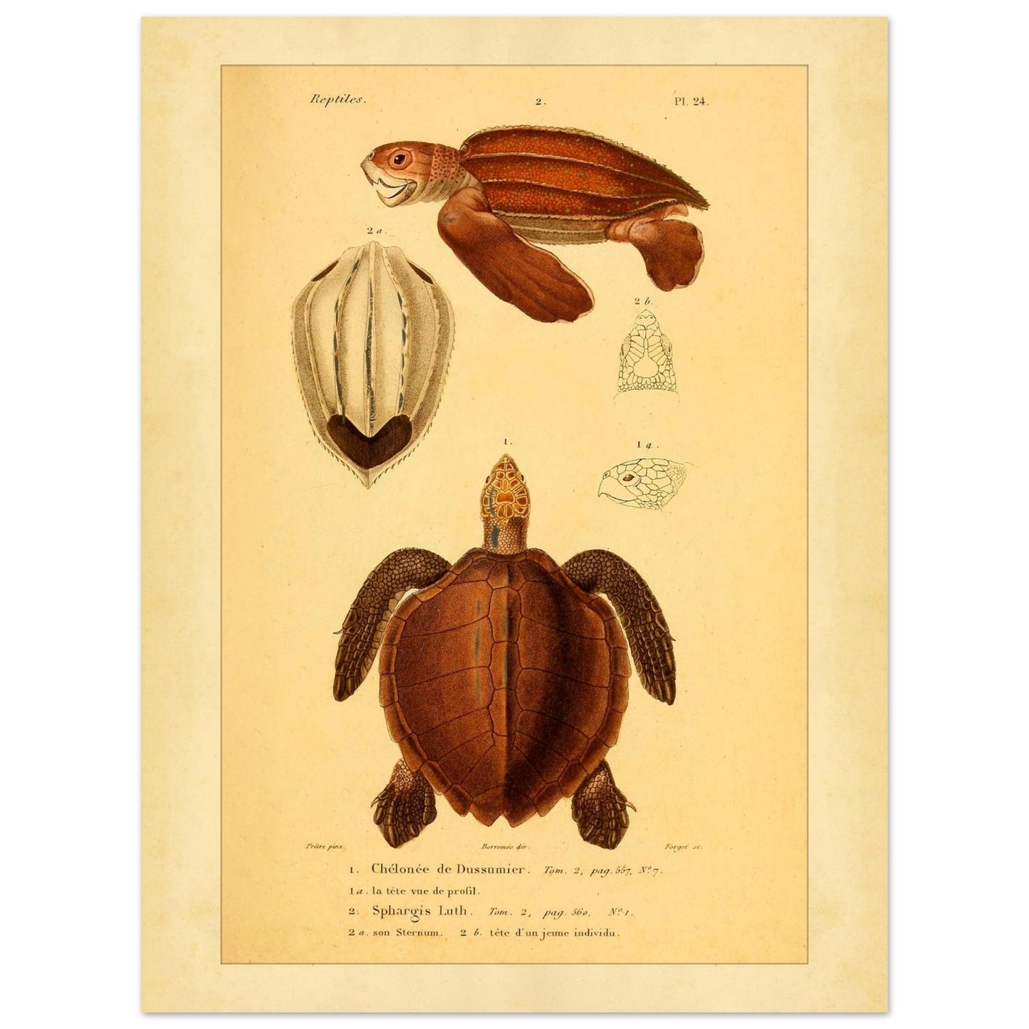 16597138-c05a-468f-a164-ddfe92b28b11