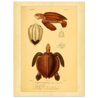 16597138-c05a-468f-a164-ddfe92b28b11