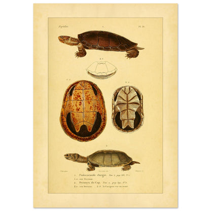 1707a53e-d327-434a-b07c-caac0156f043