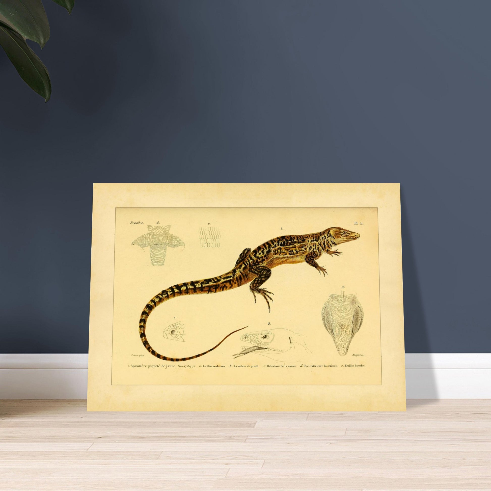 18090e69-2f00-4648-a1bb-e2721e0e6910