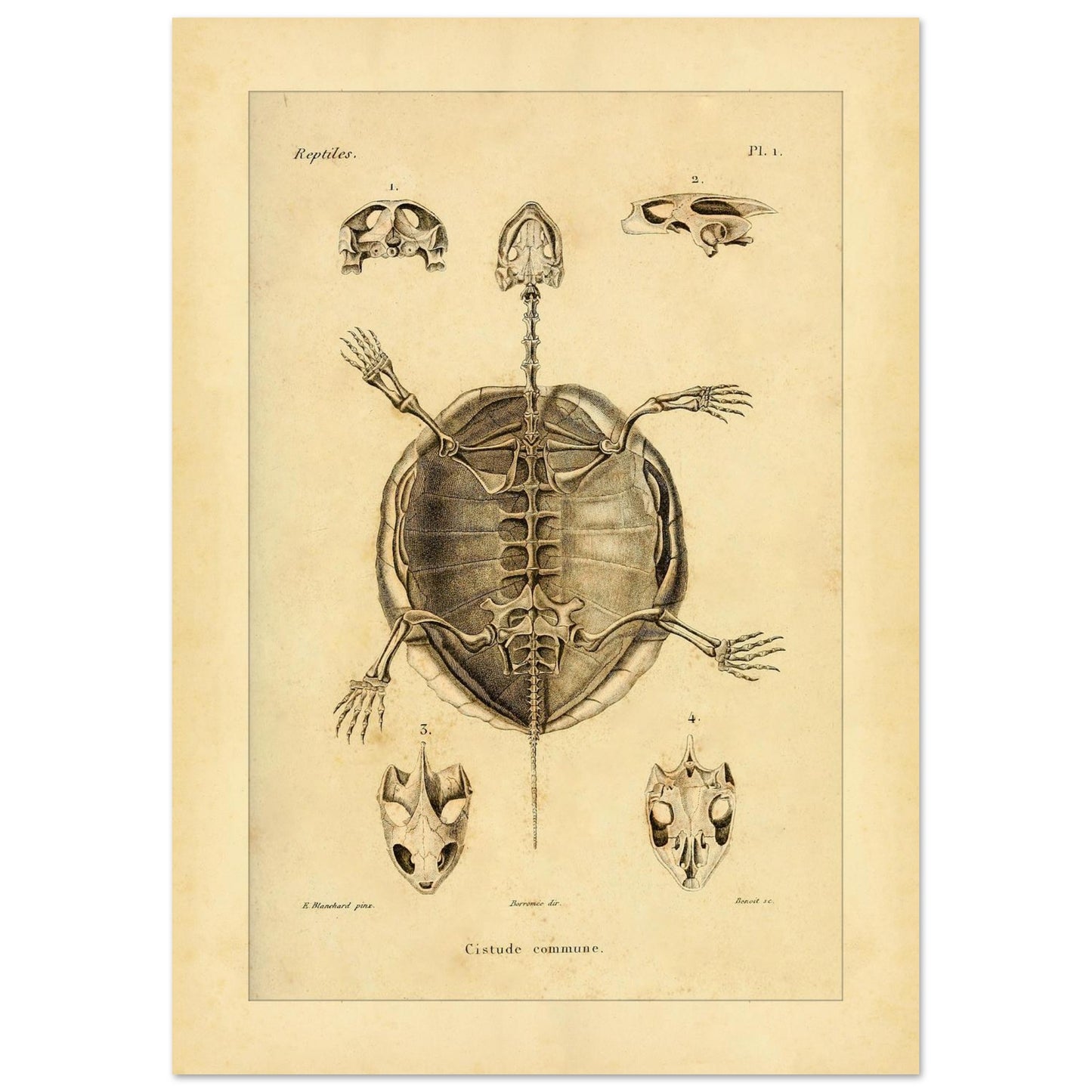 192cc87e-f5c2-4a3e-bbd2-1ad2cd68671d