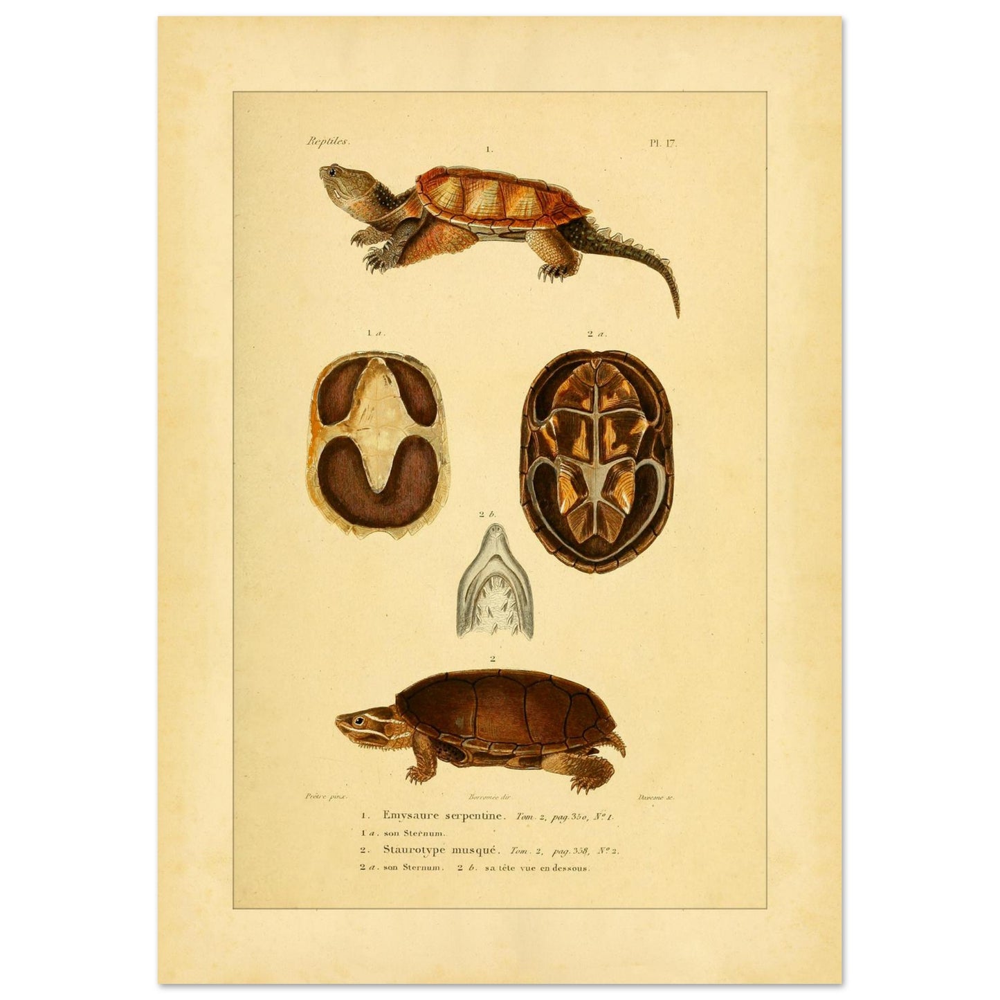 19b0f1ab-0917-4acd-9993-041afe8f9d45