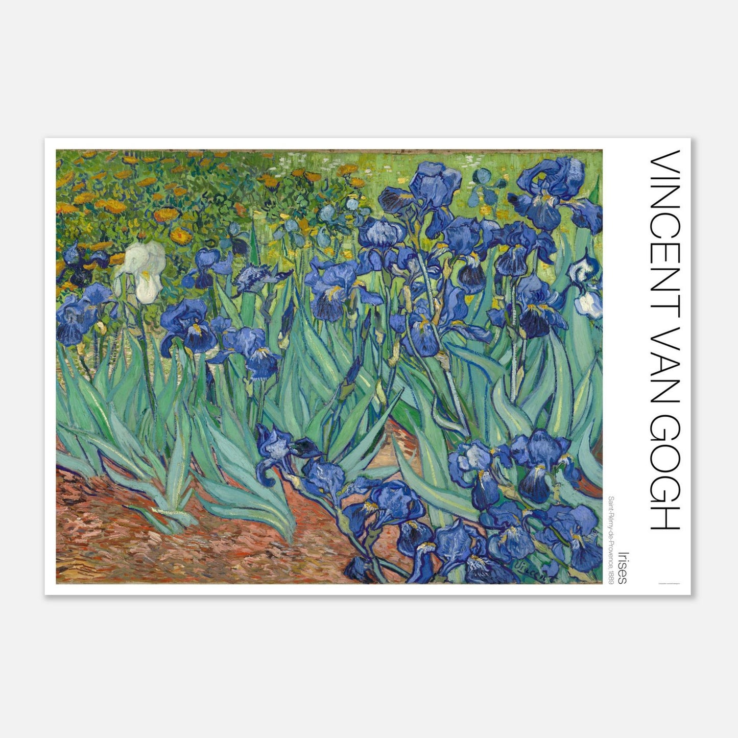 19cc5943-2669-4073-9f2f-70a665c5350a