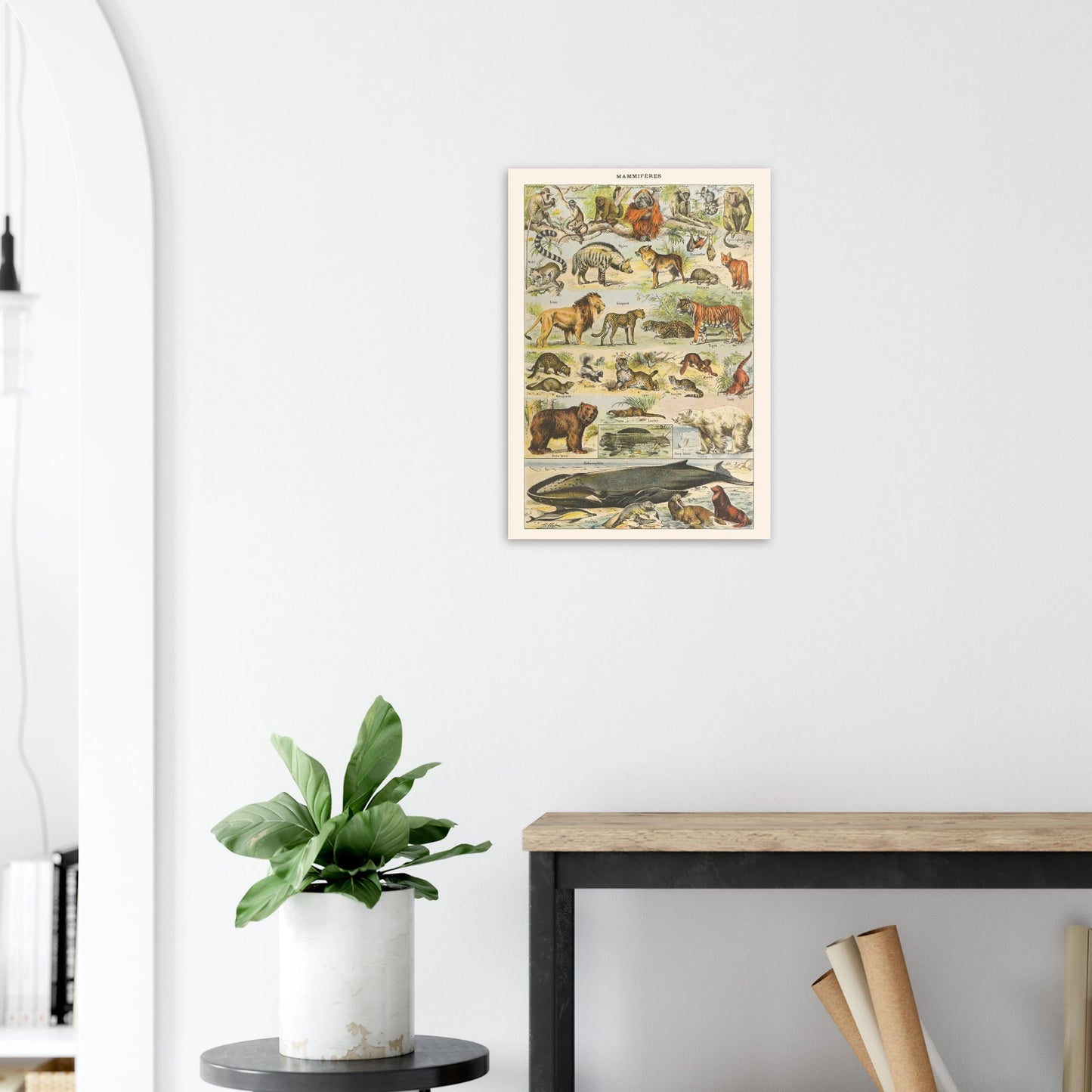 19ea1060-6901-4938-a99b-ec6ddf05797b