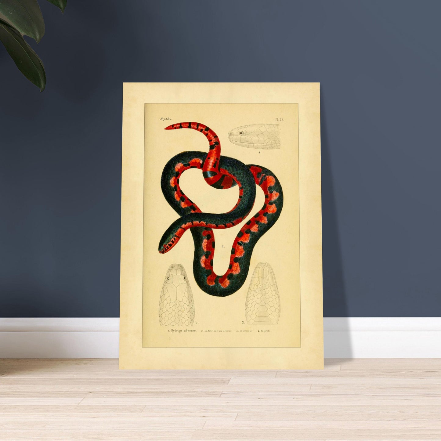 1a09f59b-c722-405c-ad9a-5ebda00ecc0c