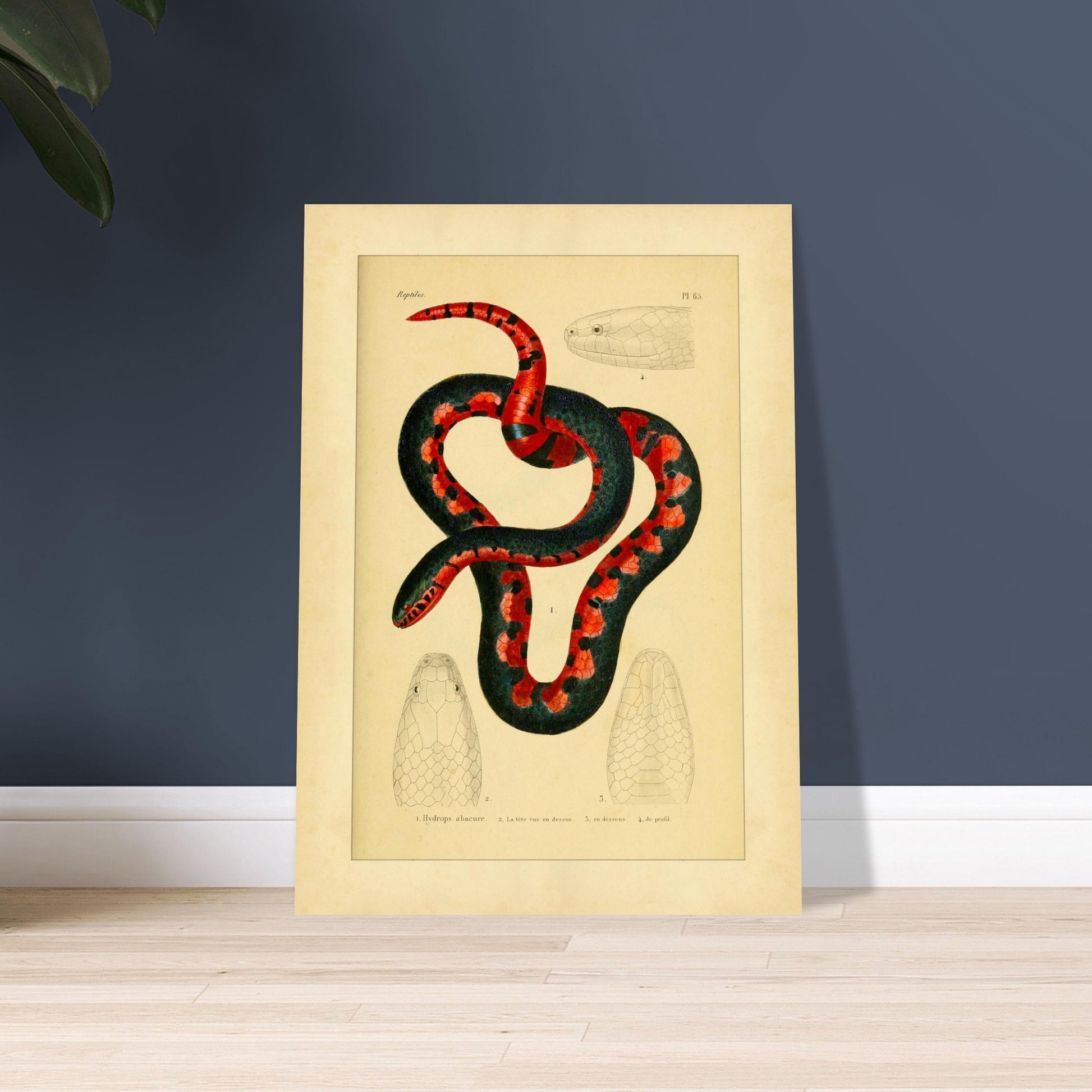 1a09f59b-c722-405c-ad9a-5ebda00ecc0c