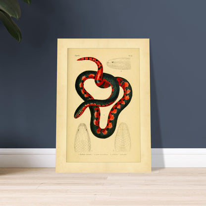 1a09f59b-c722-405c-ad9a-5ebda00ecc0c