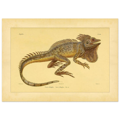 1a38ab7d-4d2c-4886-8ba5-9391e1f132d5