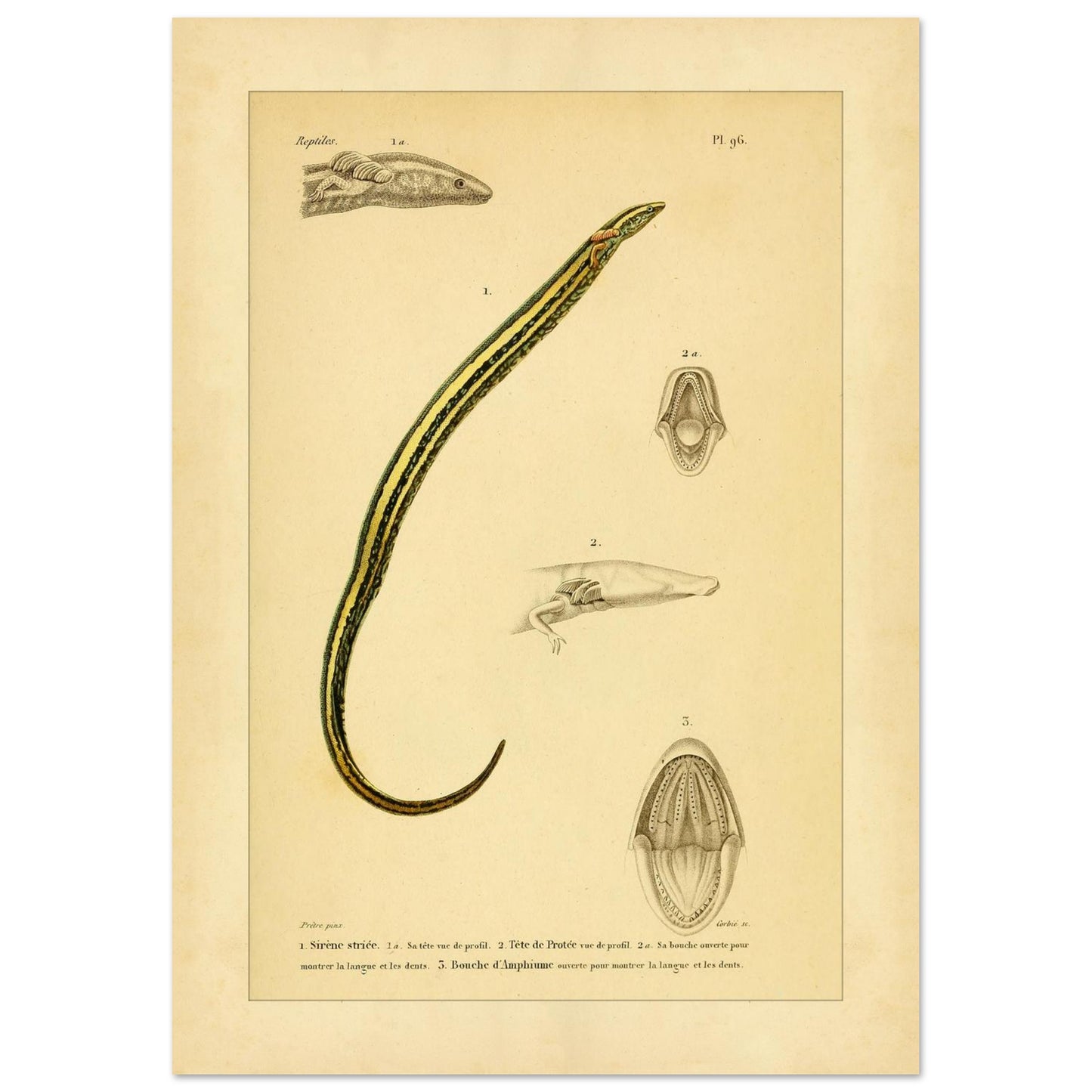 1a682d3b-c440-4698-a6bc-eec89ba55ecc