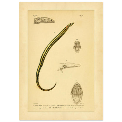 1a682d3b-c440-4698-a6bc-eec89ba55ecc