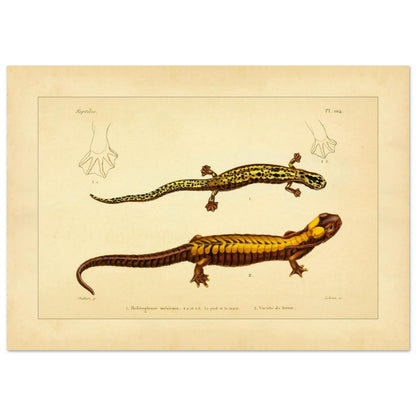 1c182b7f-a41c-44da-9236-21d9f833c21c