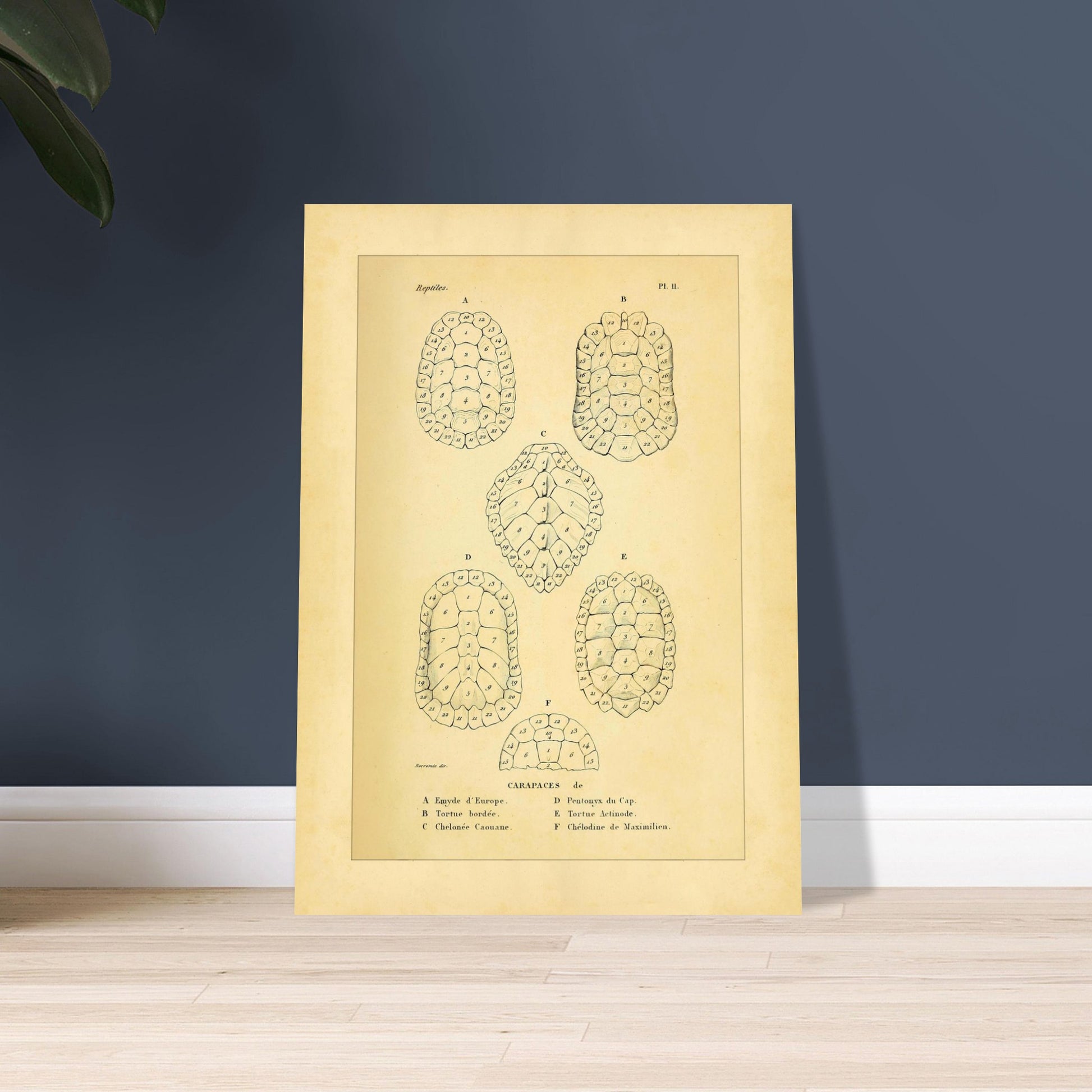 1e1a7d4d-1476-425d-aeb1-3df726a83ae0