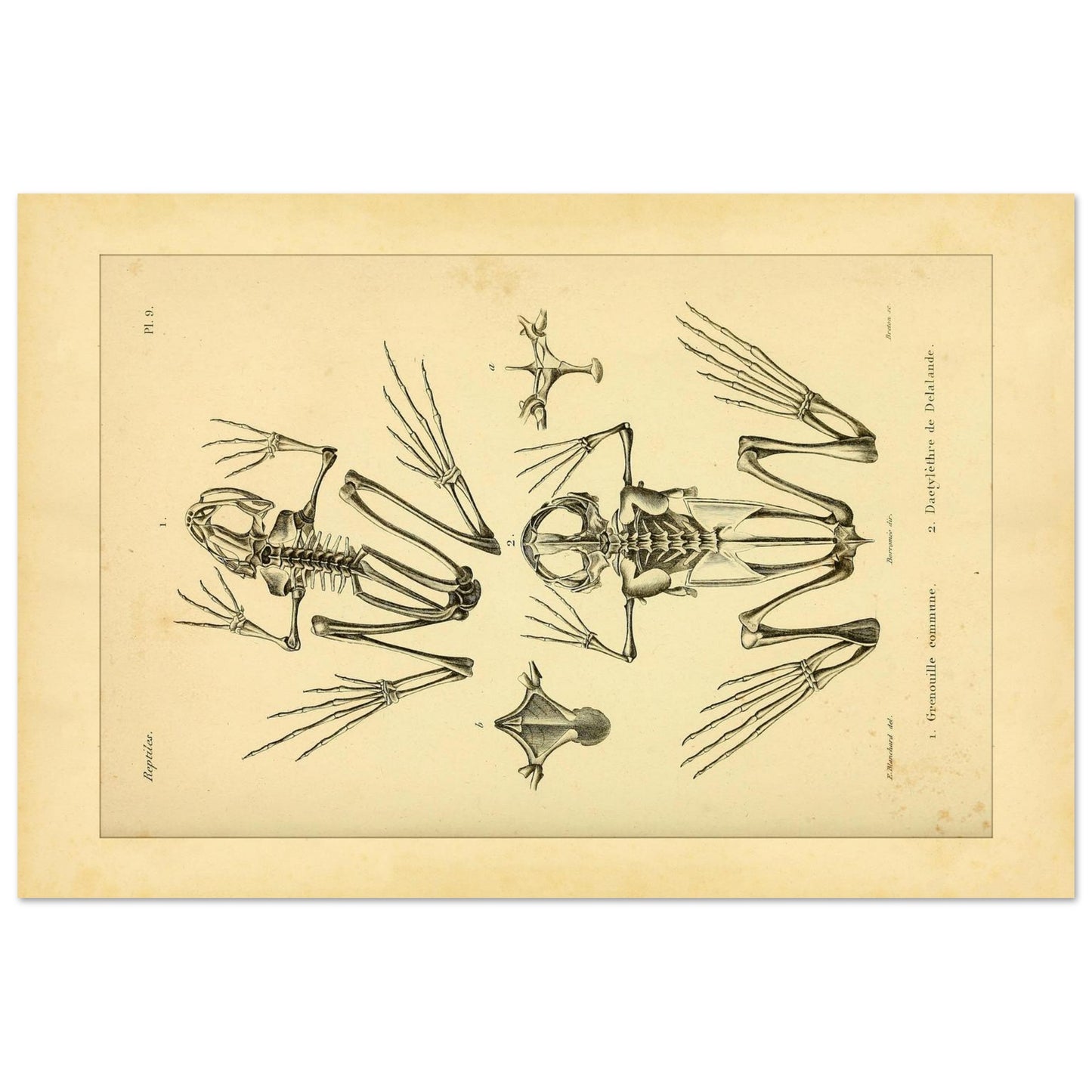 1f12d438-892f-4a40-bcd0-6534c7d47e9e