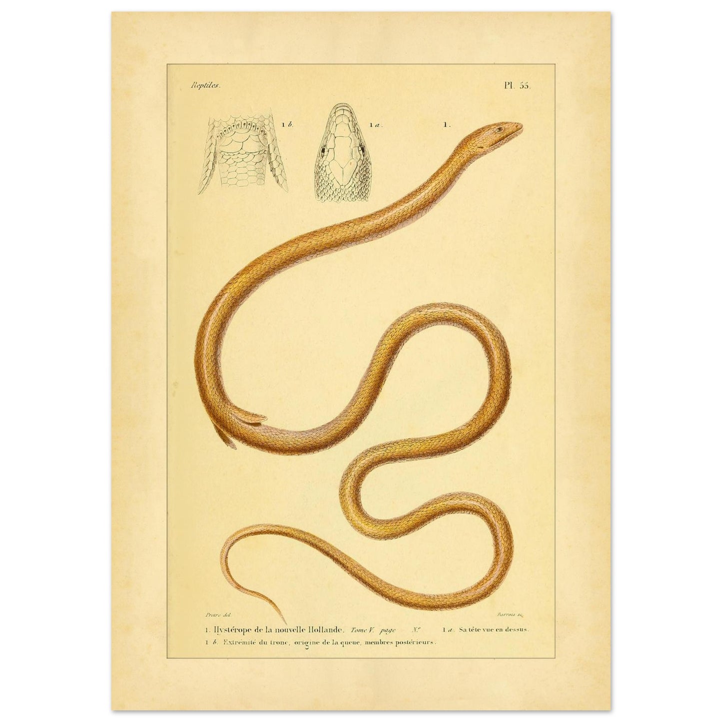 1f4e1ddf-7b43-45b7-912a-71bc4c8df93e