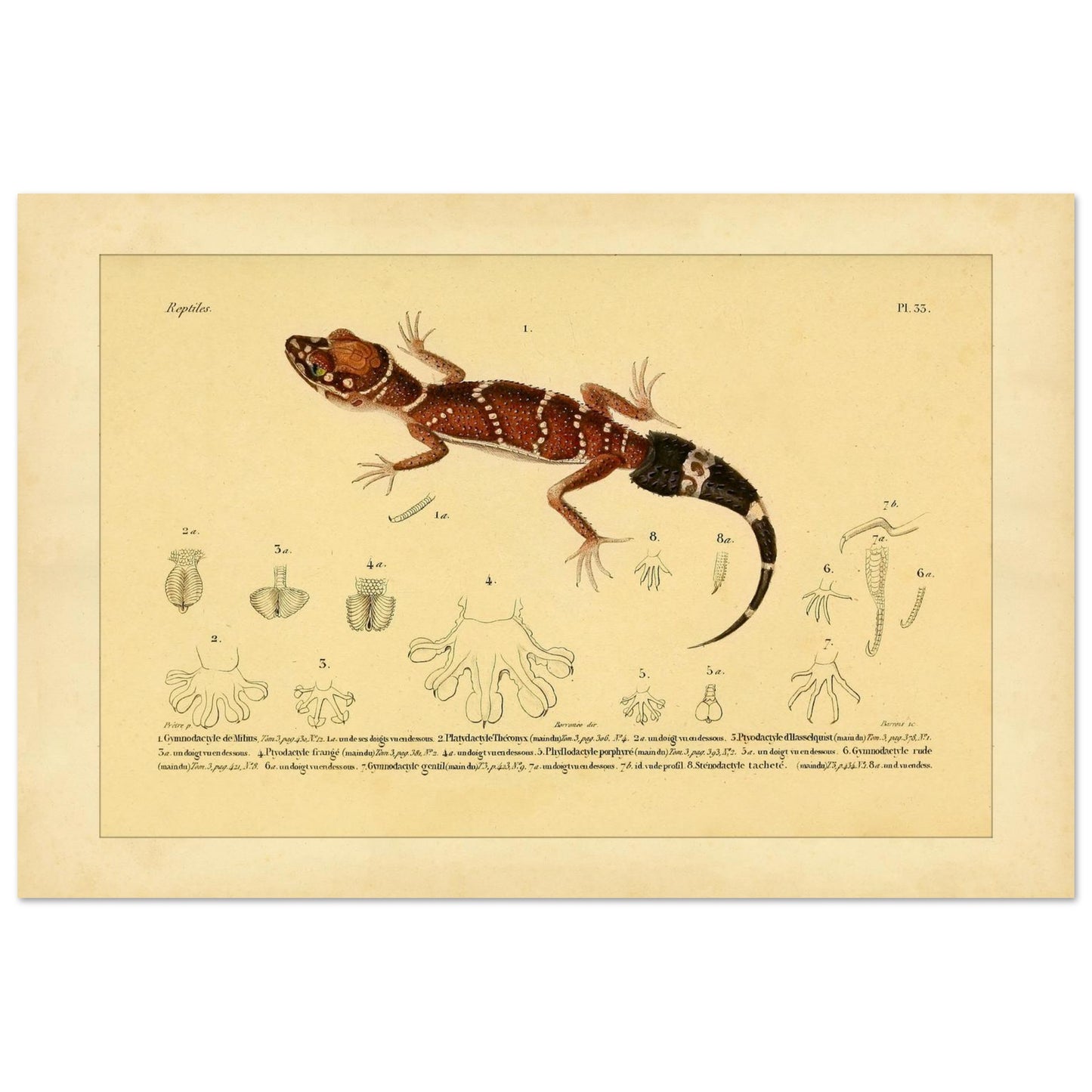 1fa435fe-4658-46eb-af24-26368e5234cc