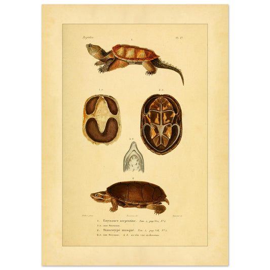 220839b5-e698-4012-897e-980370995d83