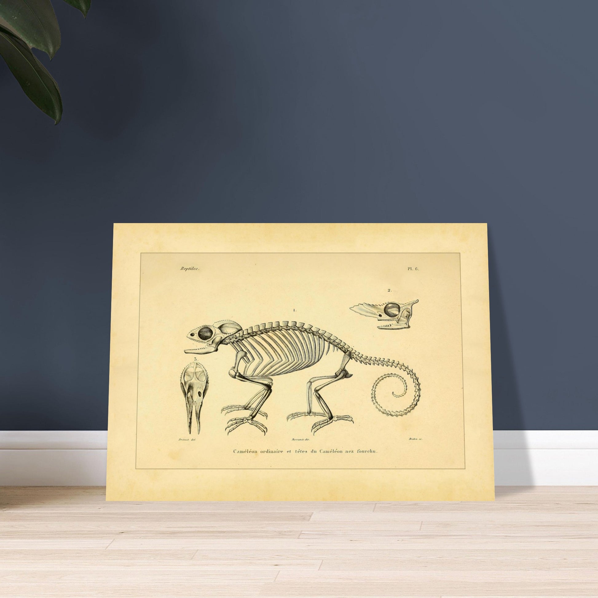 230eaf15-2ca9-4904-9cc1-aa53e3dc04c4