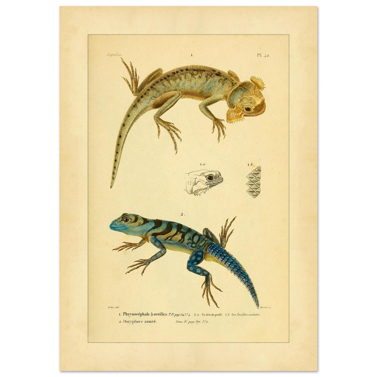 234f2945-f4cd-4bdc-b1e6-196d85aa6bba