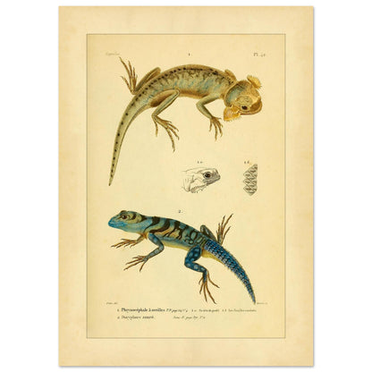 234f2945-f4cd-4bdc-b1e6-196d85aa6bba