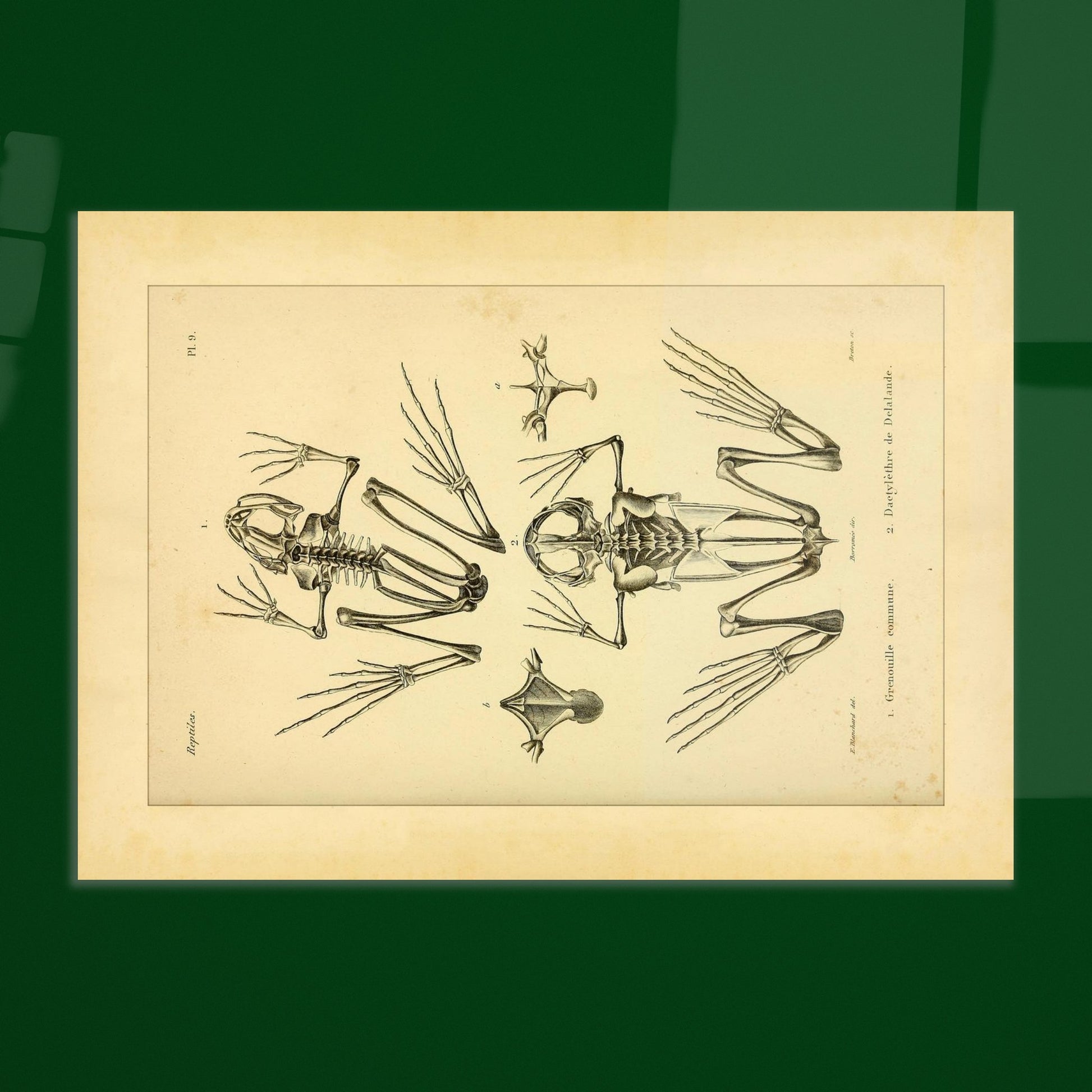 24e15ac8-4316-4828-a232-d7db446a52fd