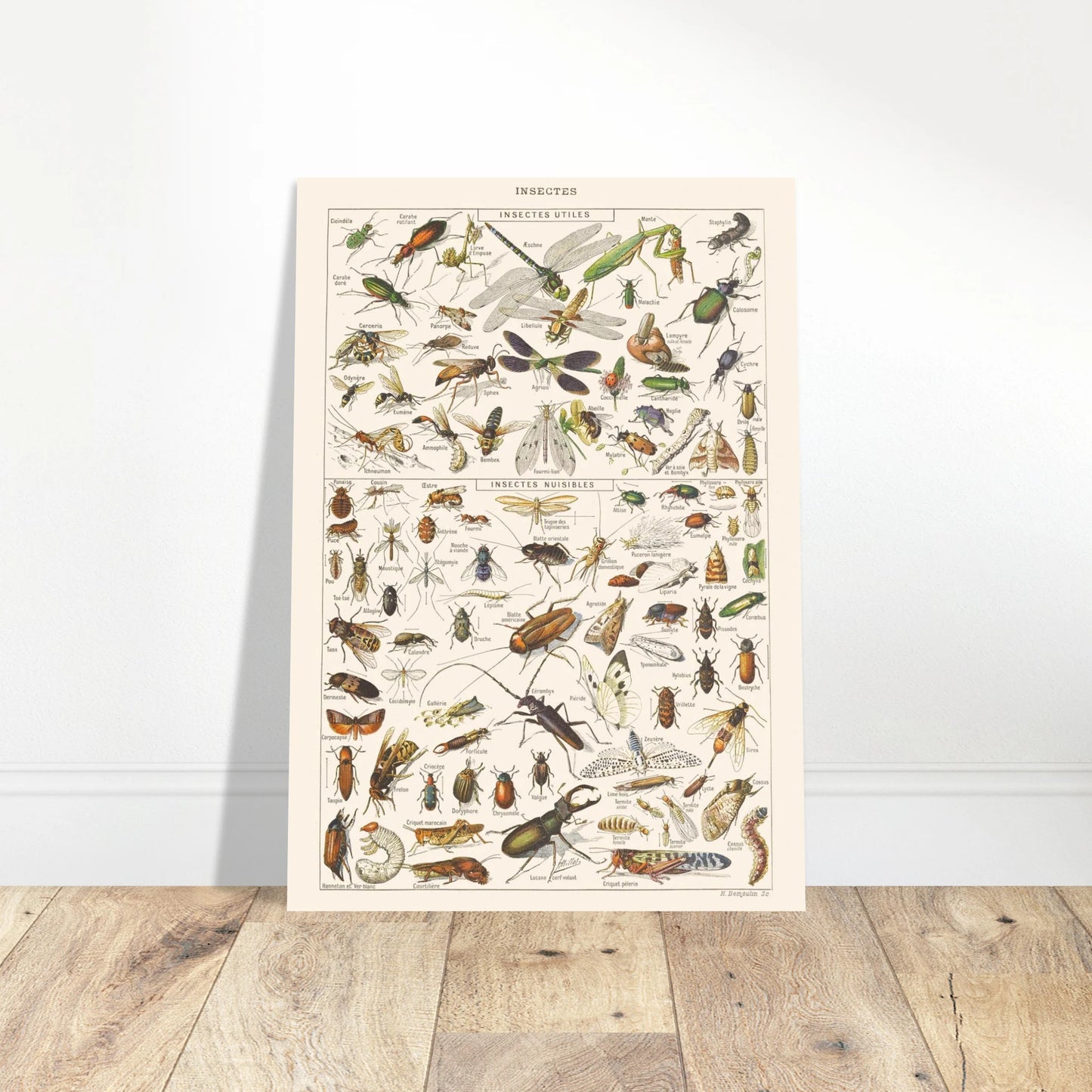 24f8abd5-04b0-4332-9d01-fa4030b38426