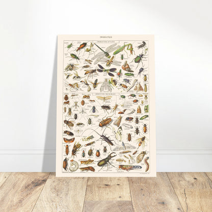 24f8abd5-04b0-4332-9d01-fa4030b38426