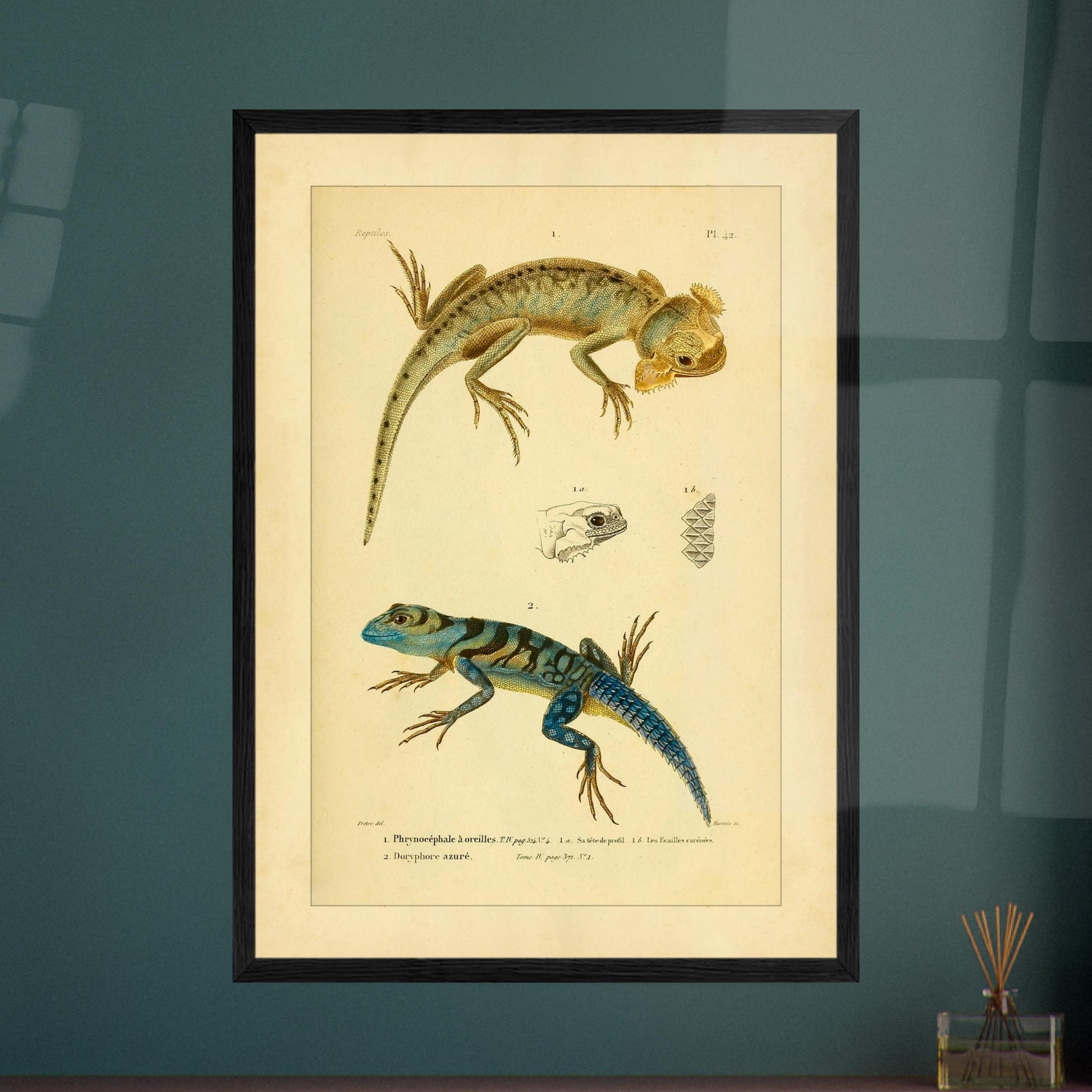 24faf825-aa0f-4d80-b39f-407a9c4a087f