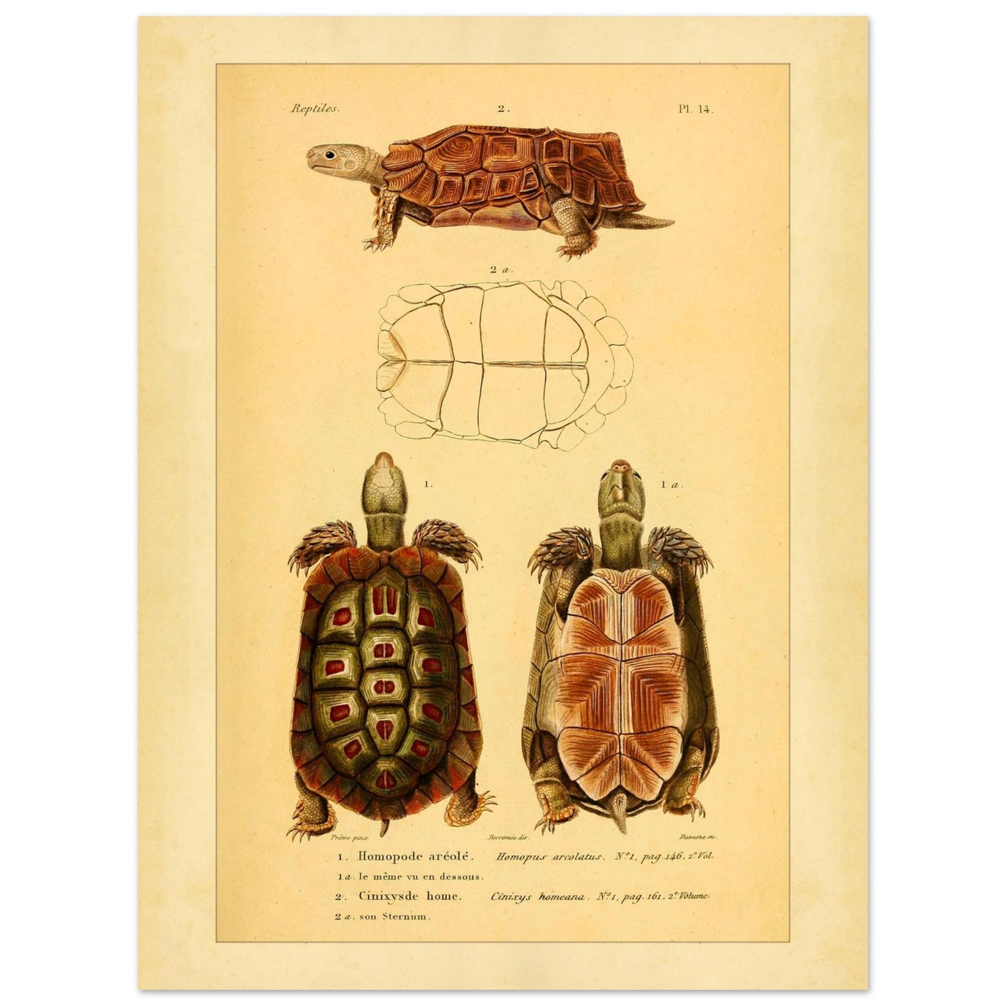 256dfbe2-e701-4b82-8c09-8eb0c1ee9b9b