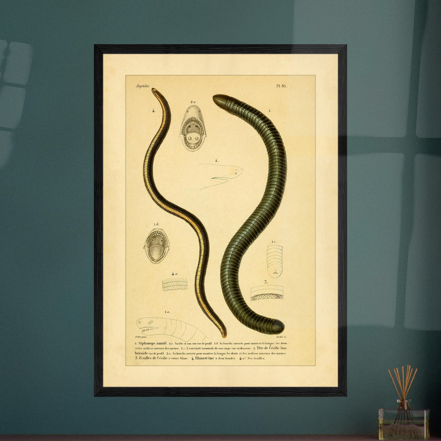 270475b2-36ac-4c20-a299-ec85f242c2fe