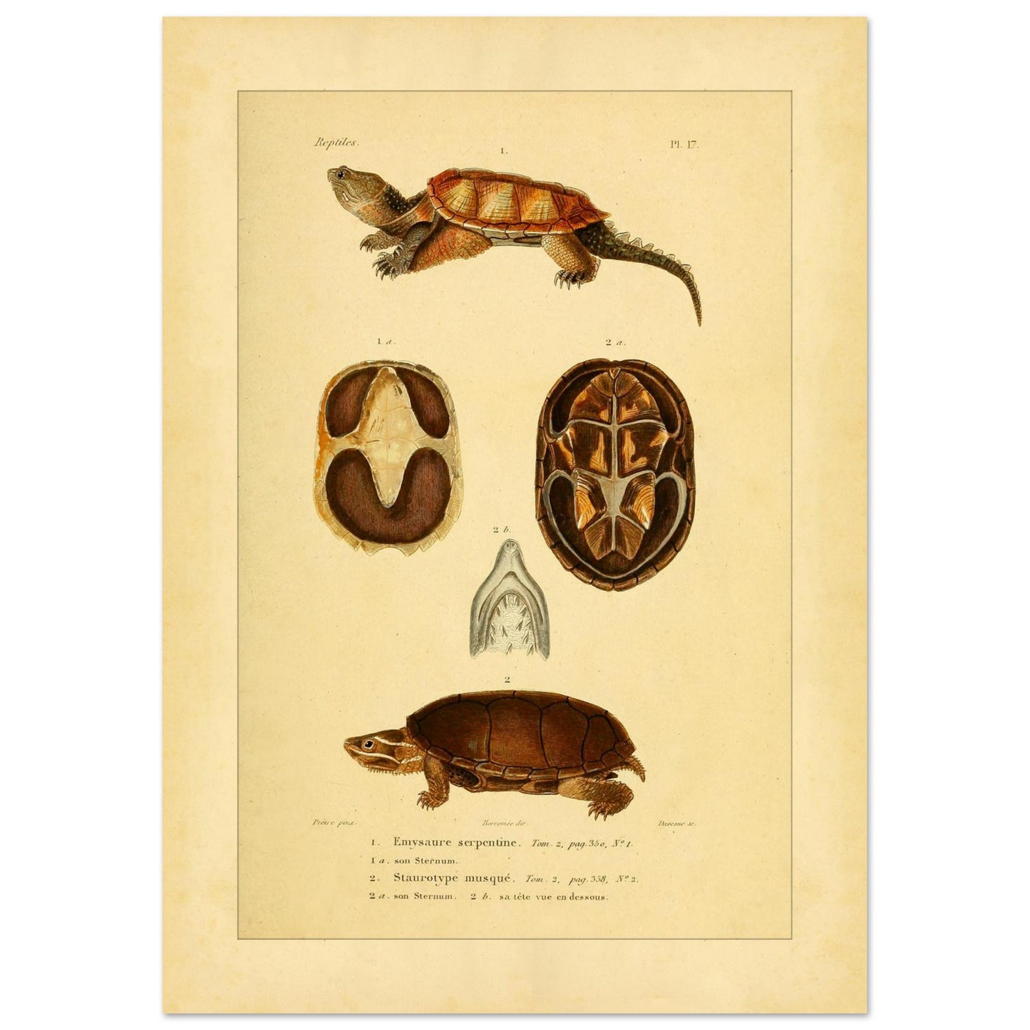 2798c955-9204-4948-a7d3-063c9406c377