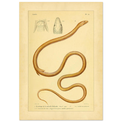 2b3ccfcd-2fbd-4c9c-bfcf-cbb9df30686e