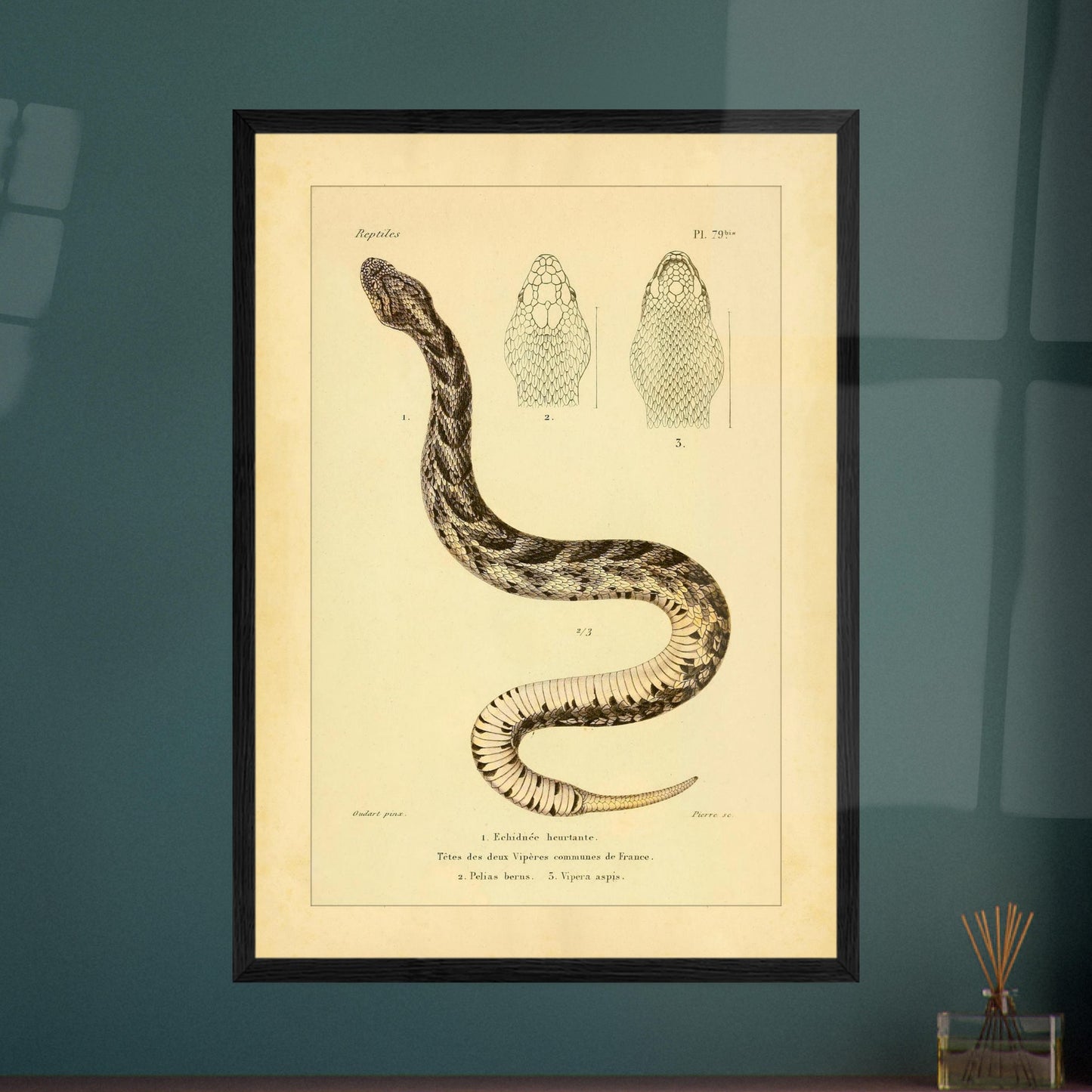 2bad9ea4-37f5-4cef-9501-0d4bc3f5ff1b