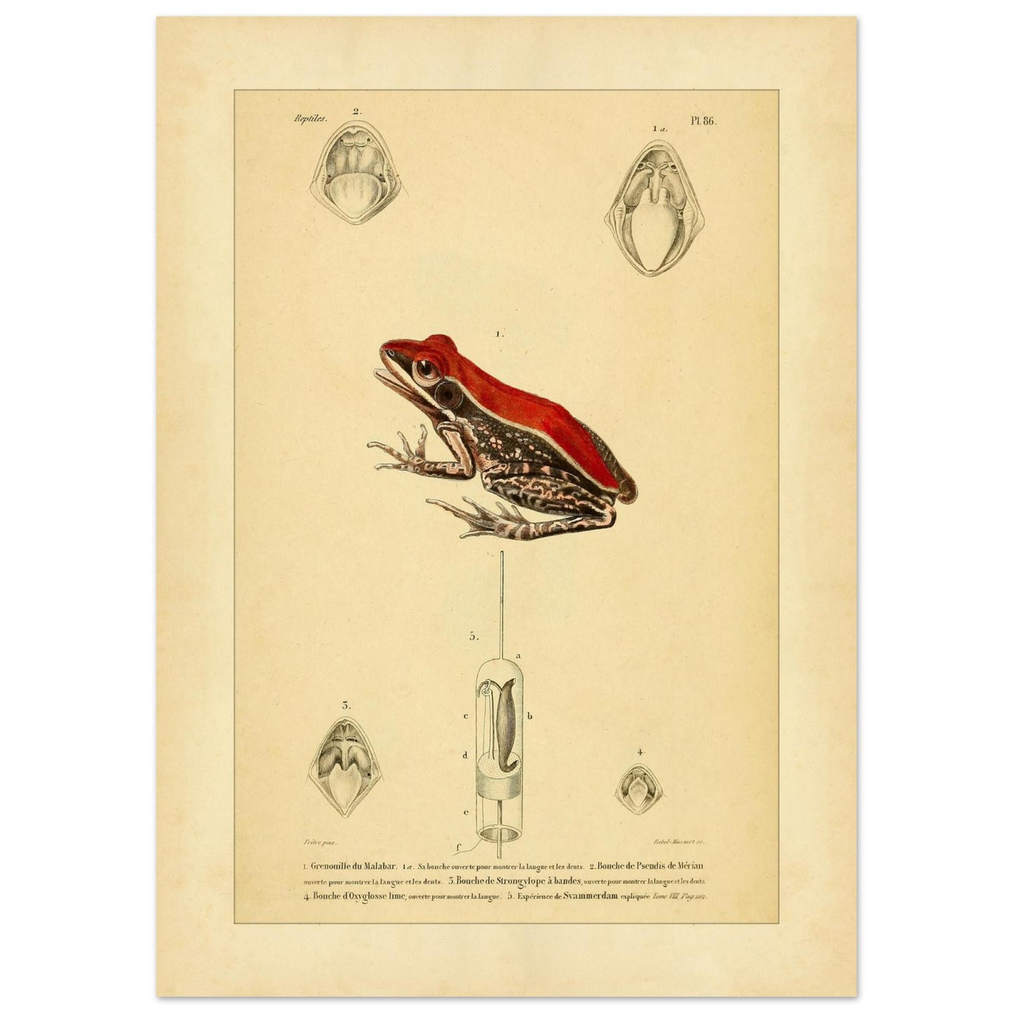 2c9b163d-10b8-45f7-8d1c-ad49bde91aff