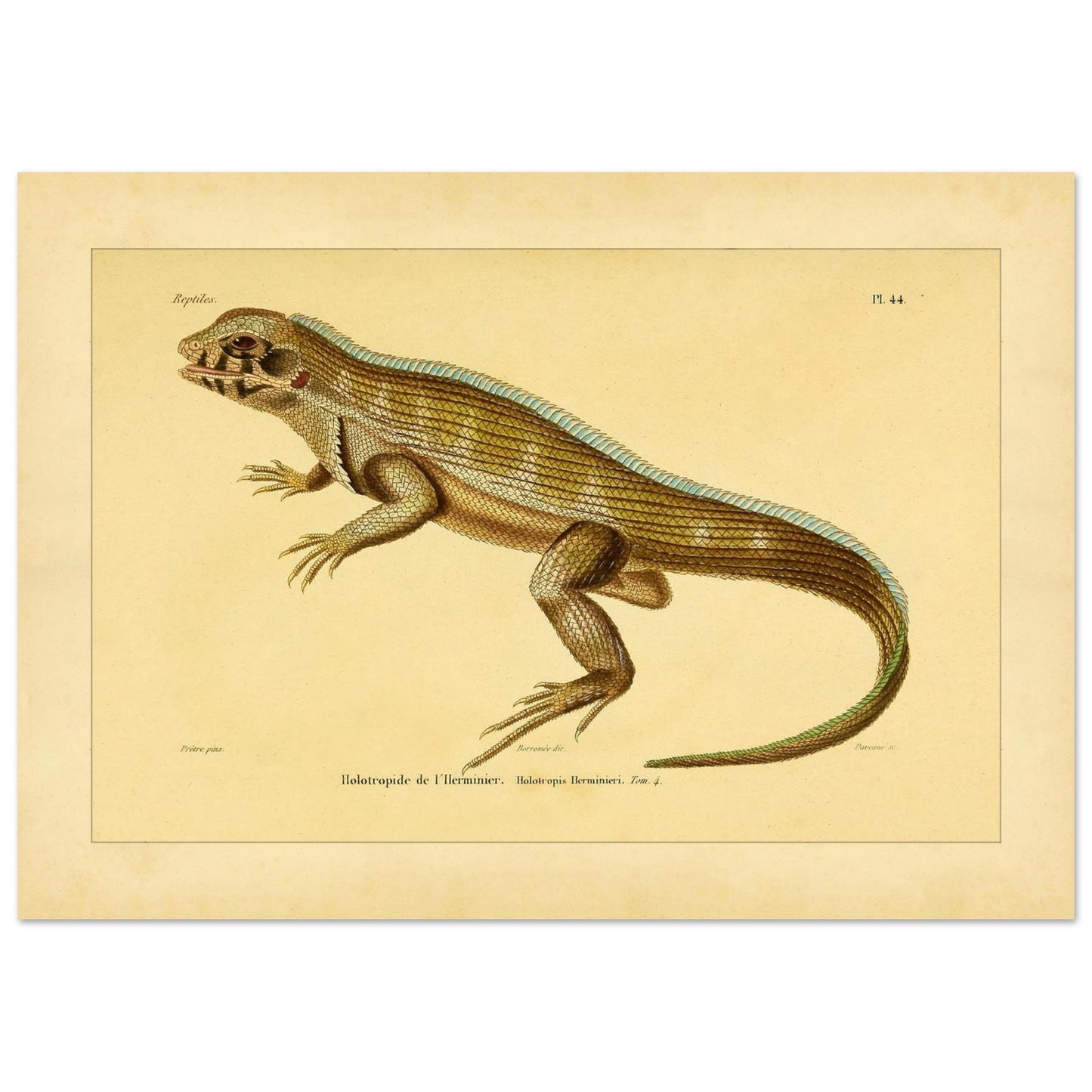 2f3d9bd1-7e89-46fb-b42f-e9ae4b75c472