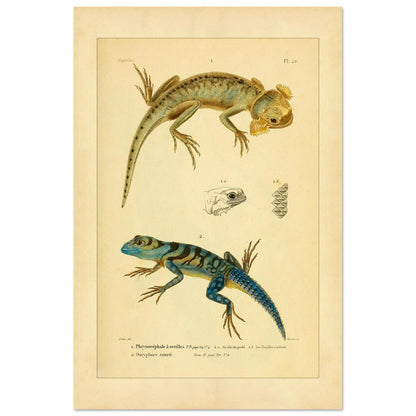 309fbdf4-fca5-4b58-9e40-9ba5fcaae3a3