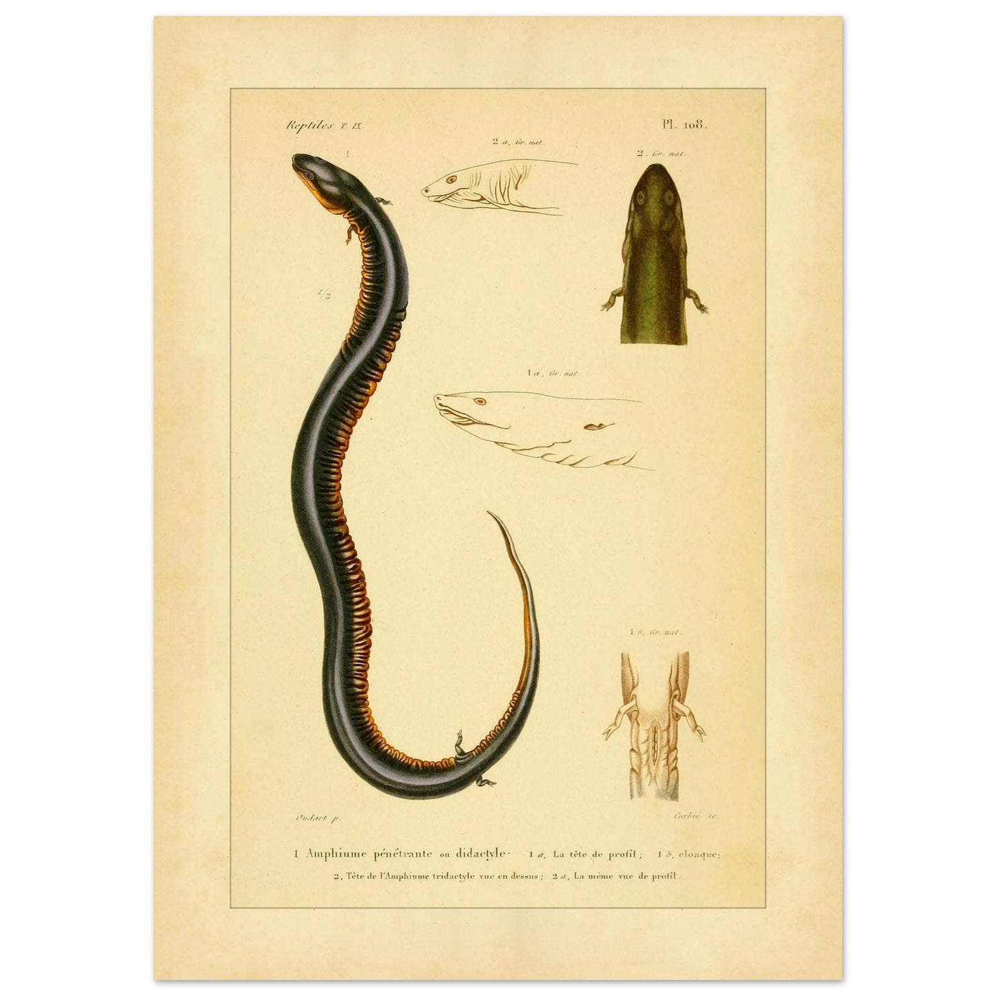 323dee5a-c407-46db-ab4b-7abc2283b374