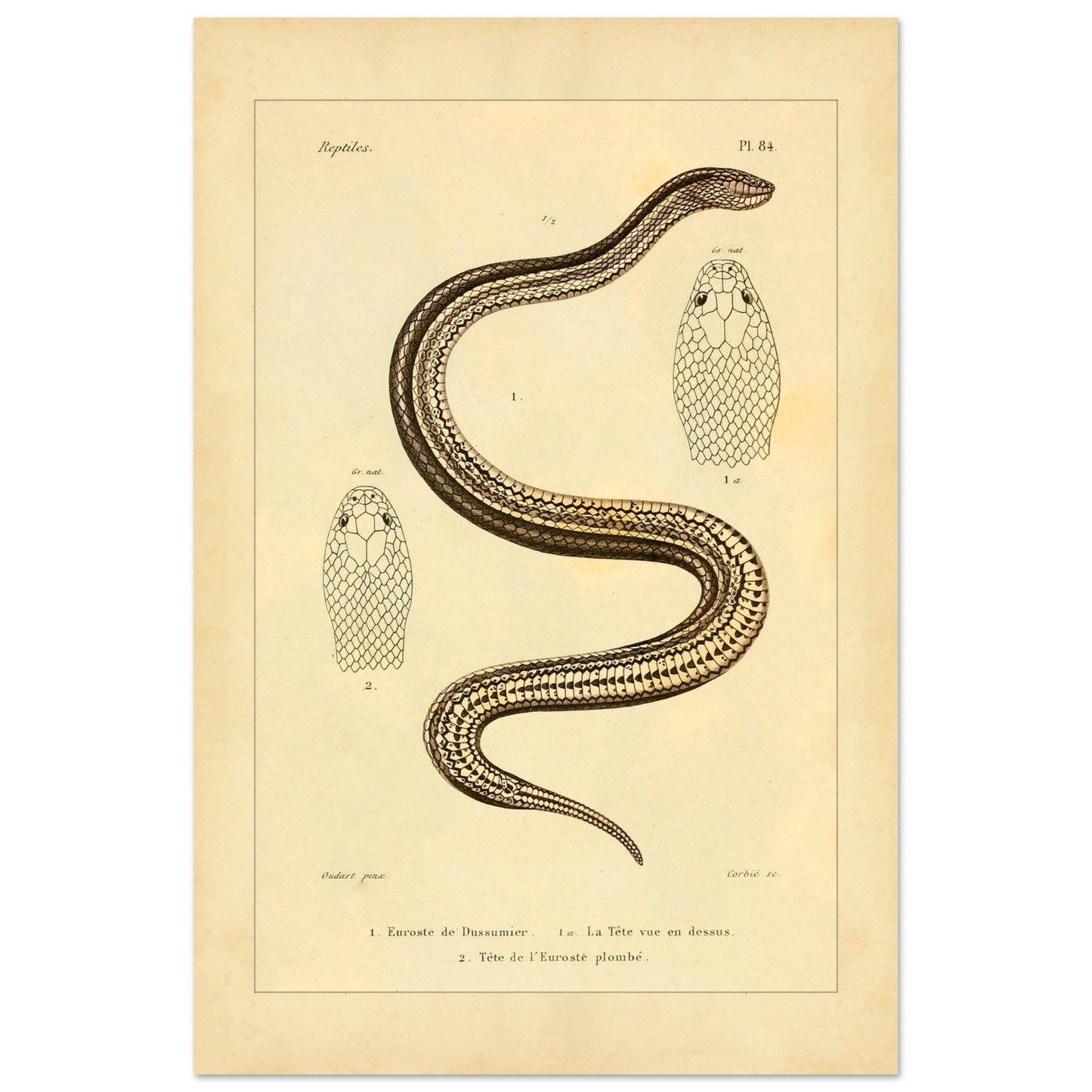 32c8792a-4eac-475f-84d0-d58db04d0010