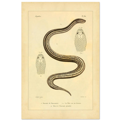 32c8792a-4eac-475f-84d0-d58db04d0010