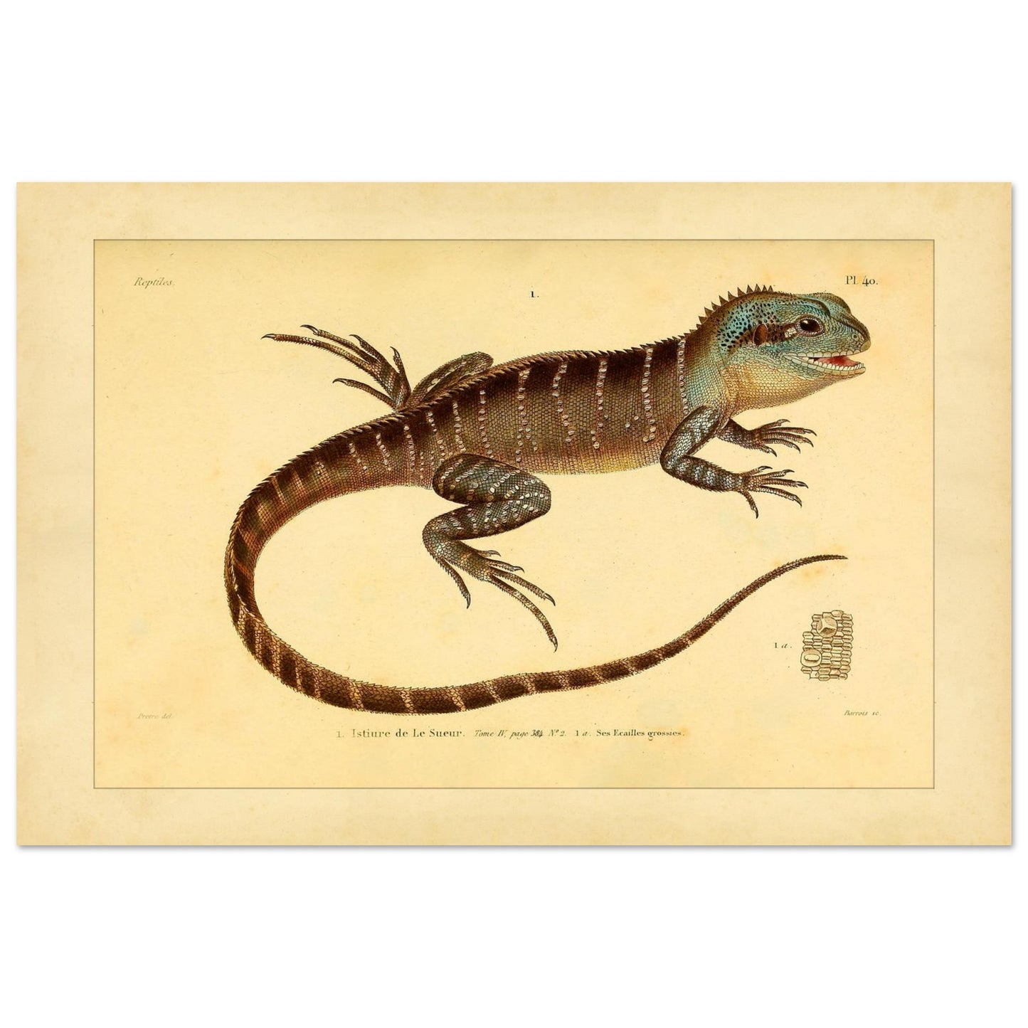 35d8313e-b834-4220-8bb2-b4f2b0def659