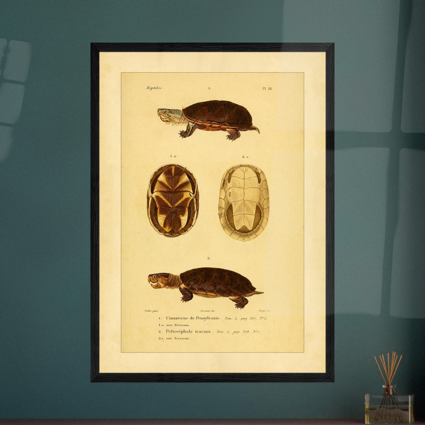 360e451f-9c2d-49b8-8d18-0b58b631a85b