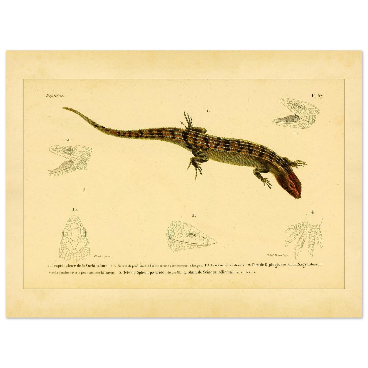 3638923e-c848-4f46-aa4e-9671d6f47db4