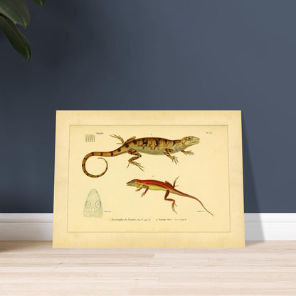 3833e961-4724-4e31-8527-519e5dd4ec23