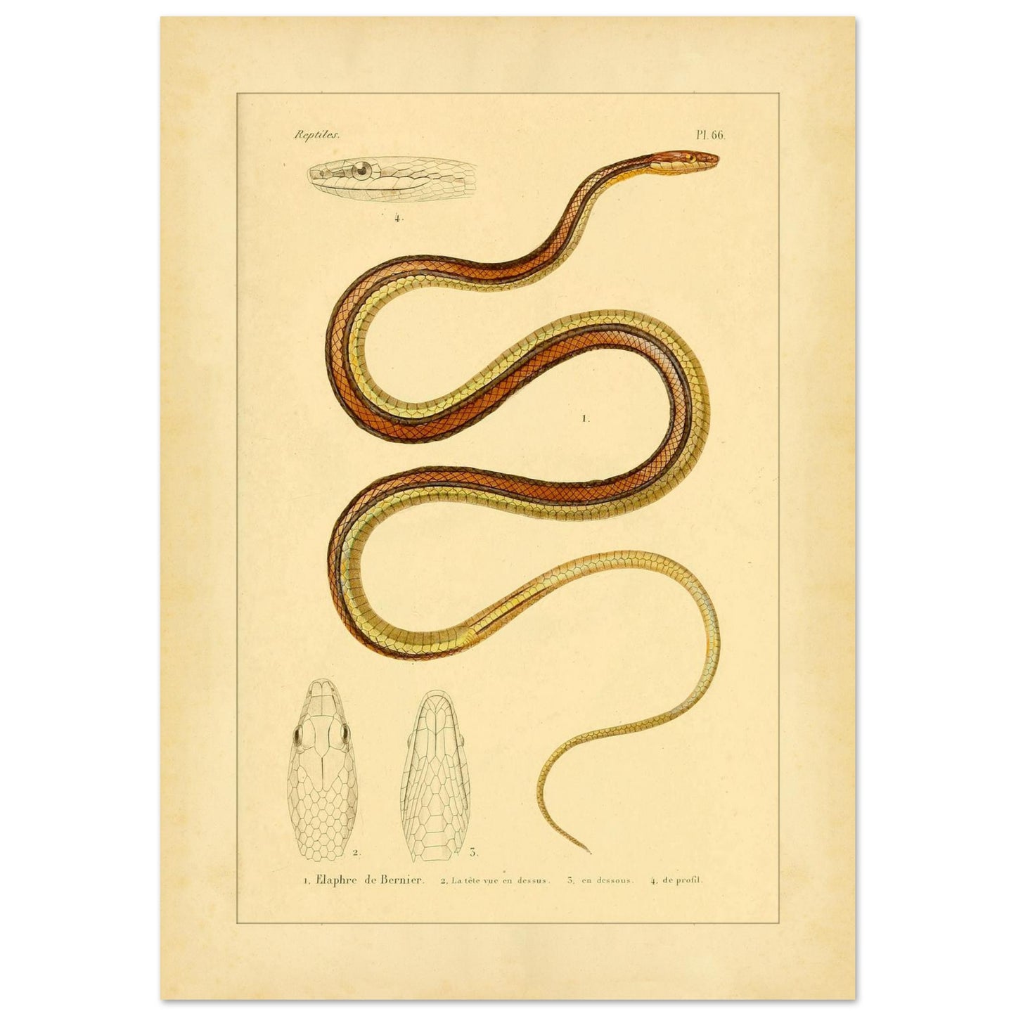 397bbfee-3bc4-4b4b-93a3-392192cf1908