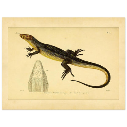 3b8b1187-b305-4c21-9a7e-4ad57653a957