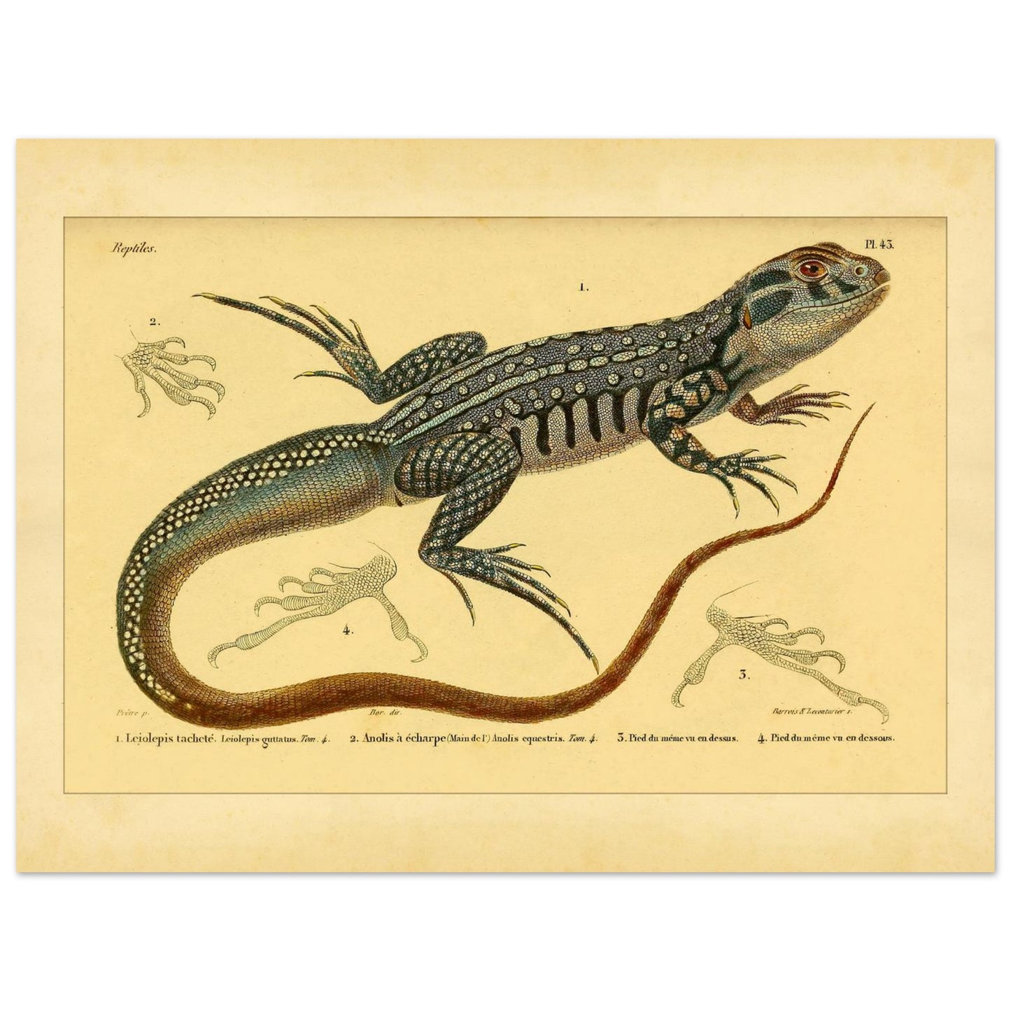 3bd4703d-4a59-46eb-b60f-a3540a604ea4