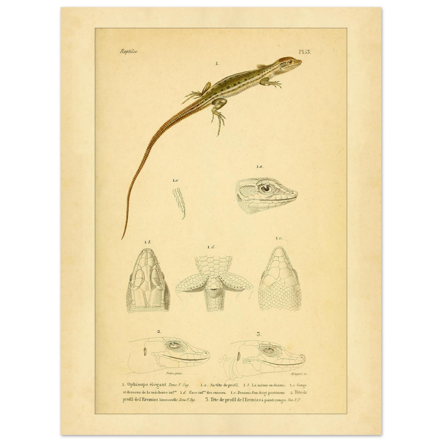 3c2d0fe2-5d3c-4cc5-b472-99731333e12c