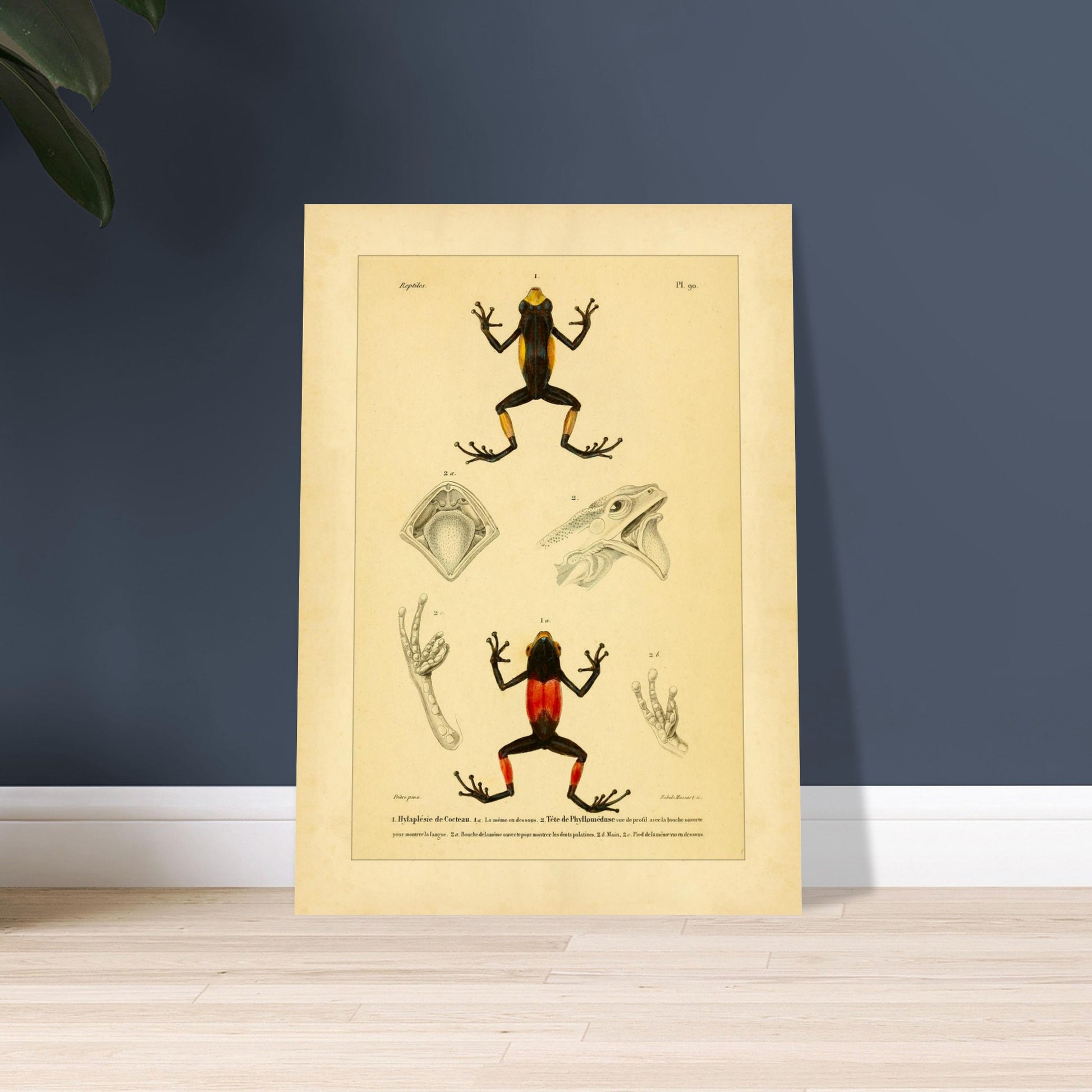 3e3cb6f8-77bb-4539-943c-dee27fc71f68