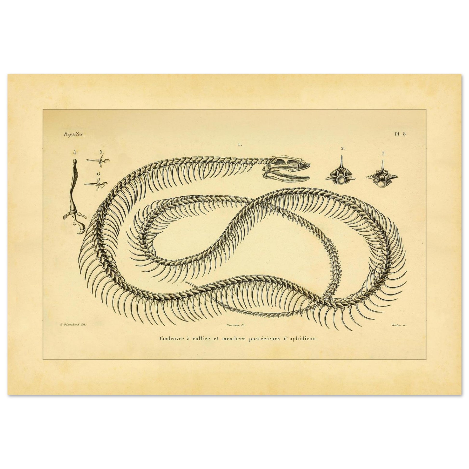 3e9f7803-1d0b-4dae-a6c3-01063f5d3644